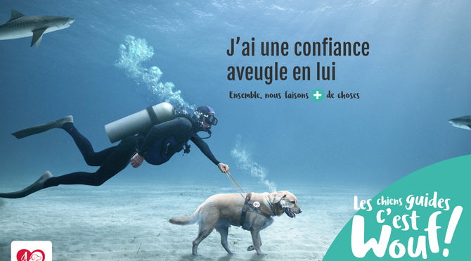 Visuel non disponible