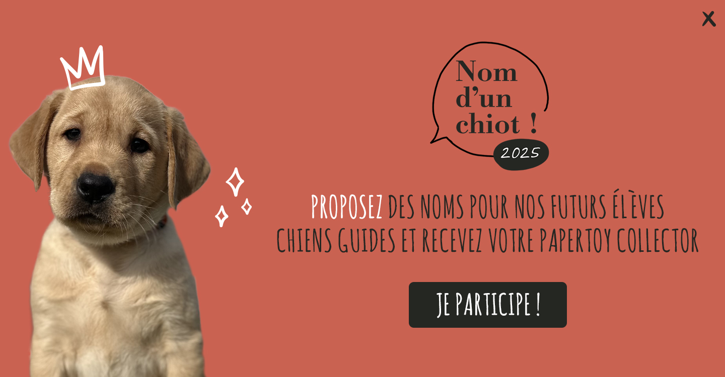 nom d'un chiot 2026