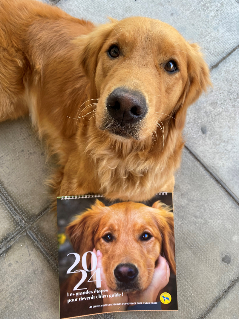 Calendrier 2024 - Chiens Guides d'Aveugles d'Île-de-France