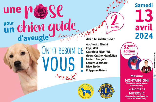 Une Rose pour un Chien Guide 2024