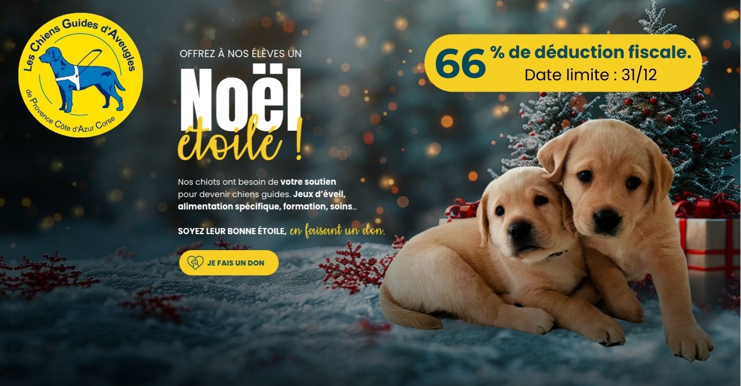 Offrez à nos élèves un Noël étoilé !