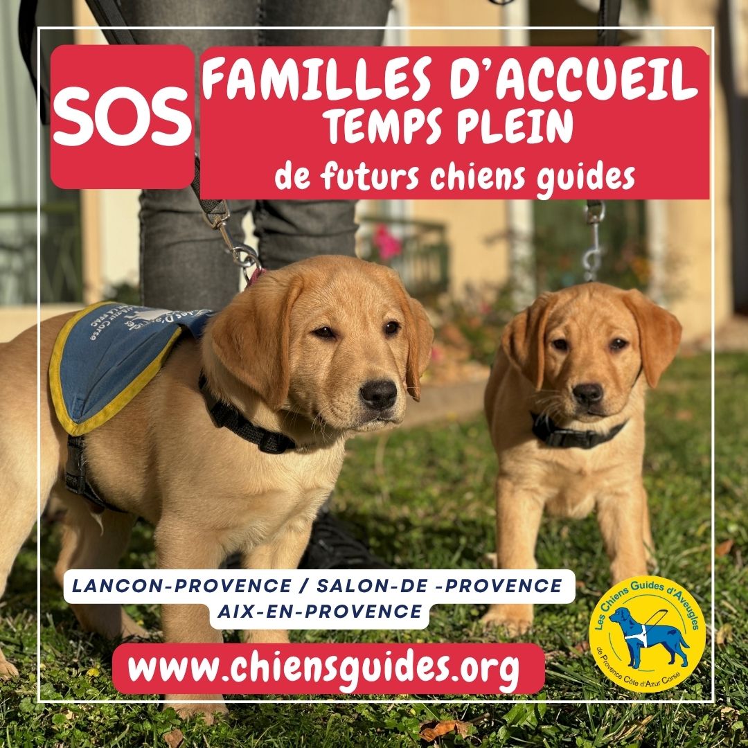SOS - Recherche familles d'accueil (13)