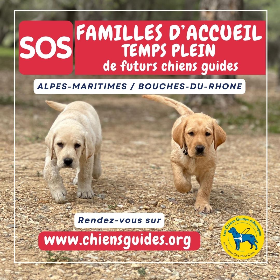 SOS - Recherche familles d'accueil 