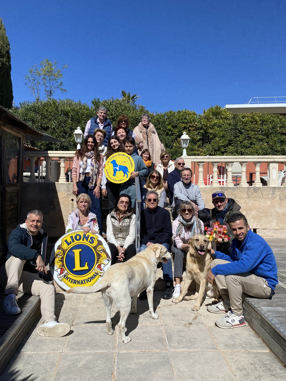 une rose pour un chien guide
