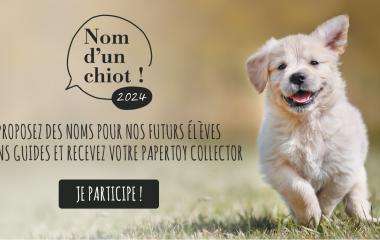 Bilan Nom d'un chiot 2024