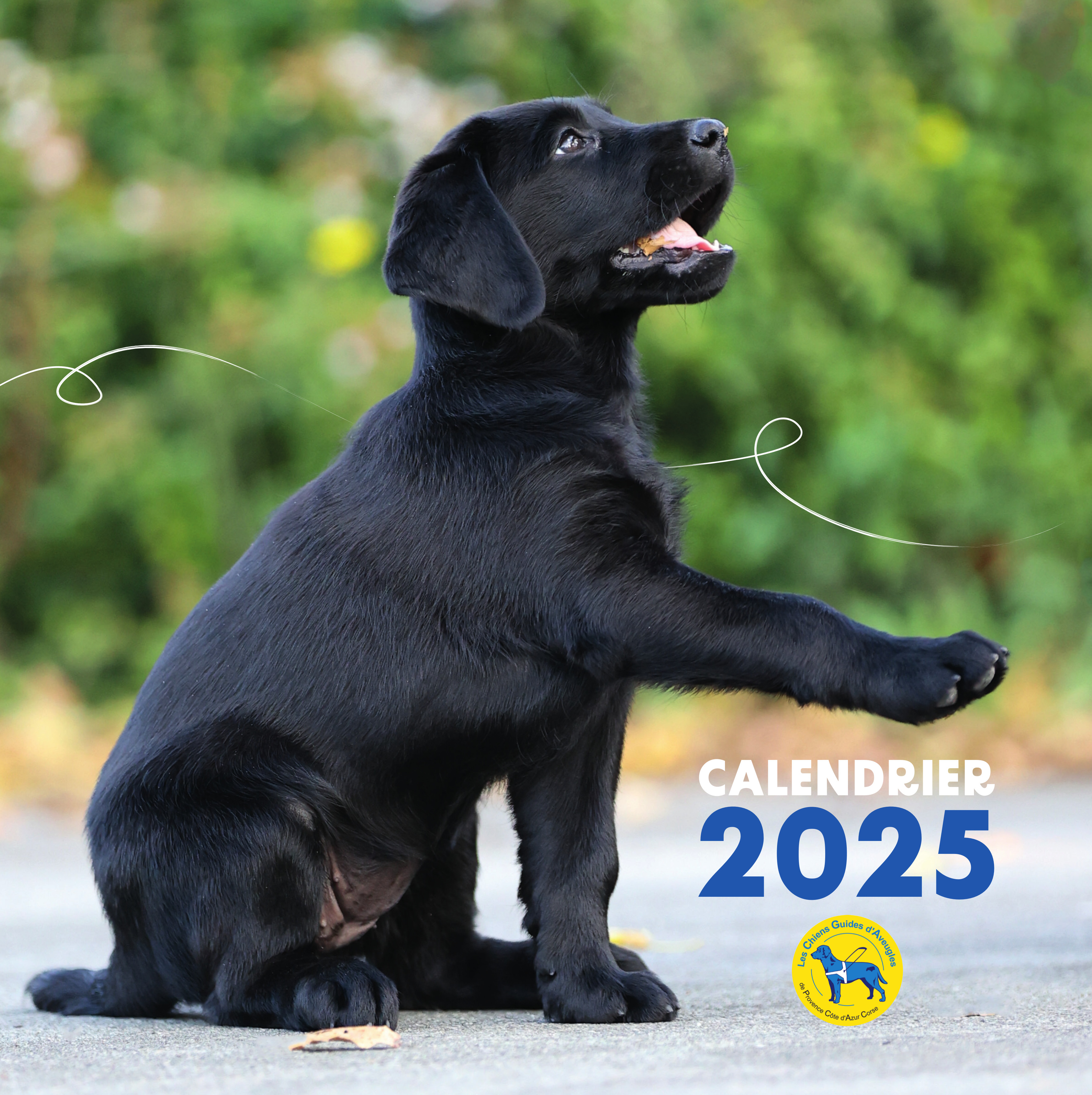 Illustration PROMO - Calendrier 2025