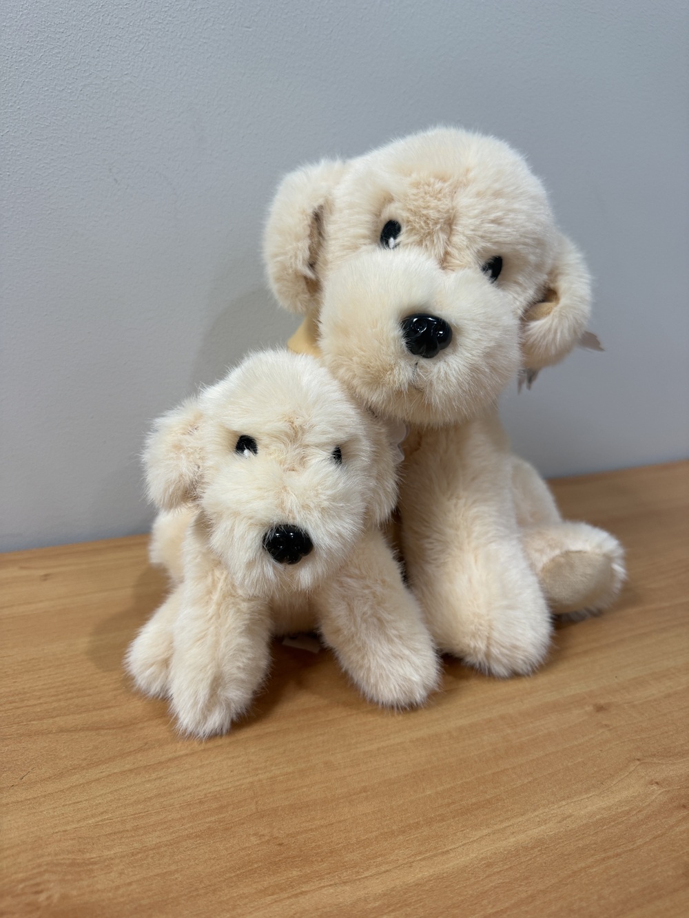 Peluche Floppy