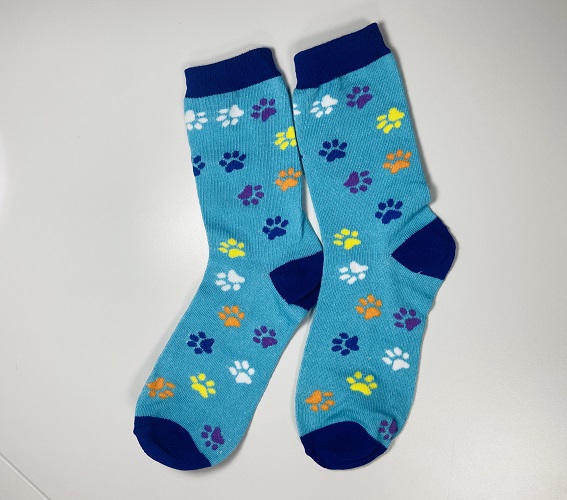 Offert Une paire de chaussettes