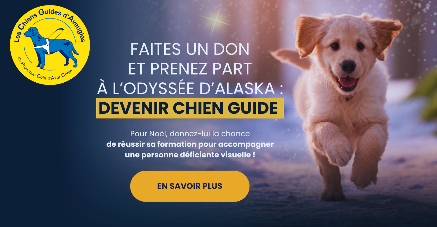 L'odyssée d'Alaska