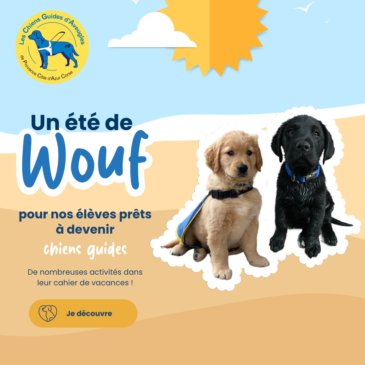 Découvrez le cahier de vacances de nos futurs chiens guides