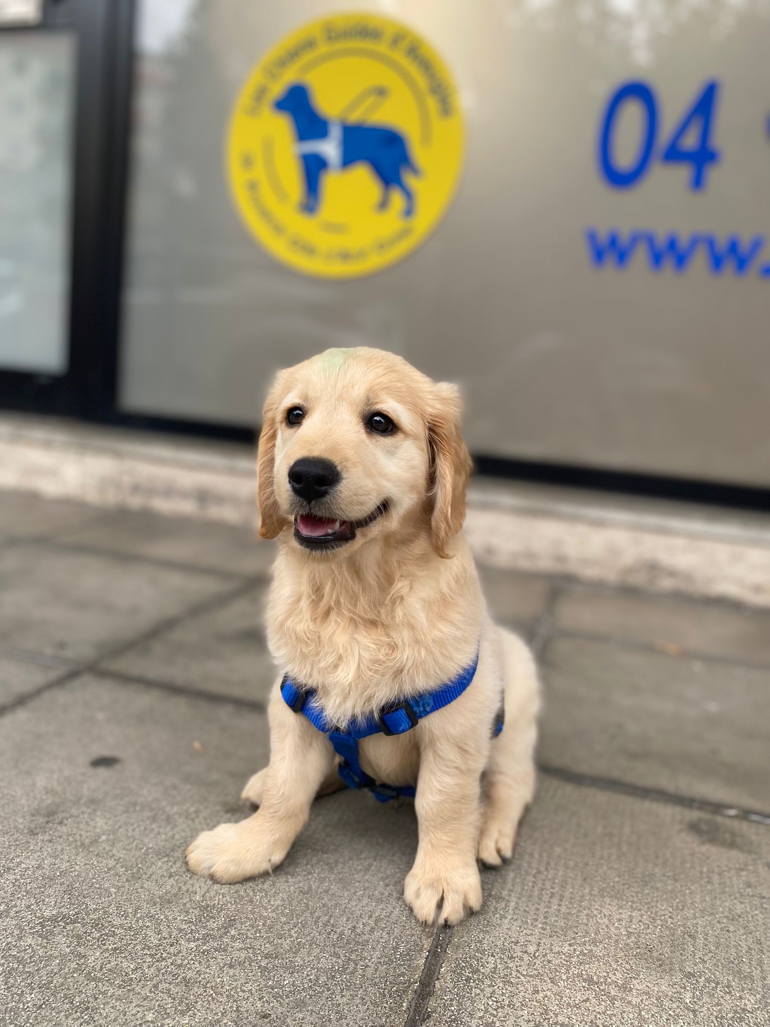 AQUA 2 MOIS AQUA 2 MOIS