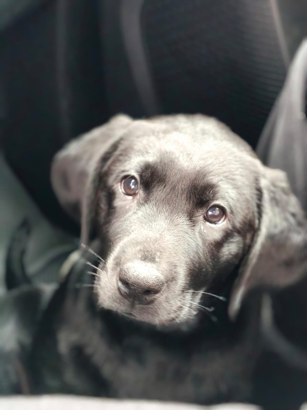 ARIA 2 MOIS ARIA 2 MOIS