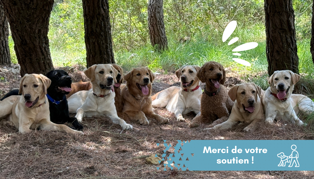 🐾 Immersion au Centre d'éducation Pierre Aicard à Èze !