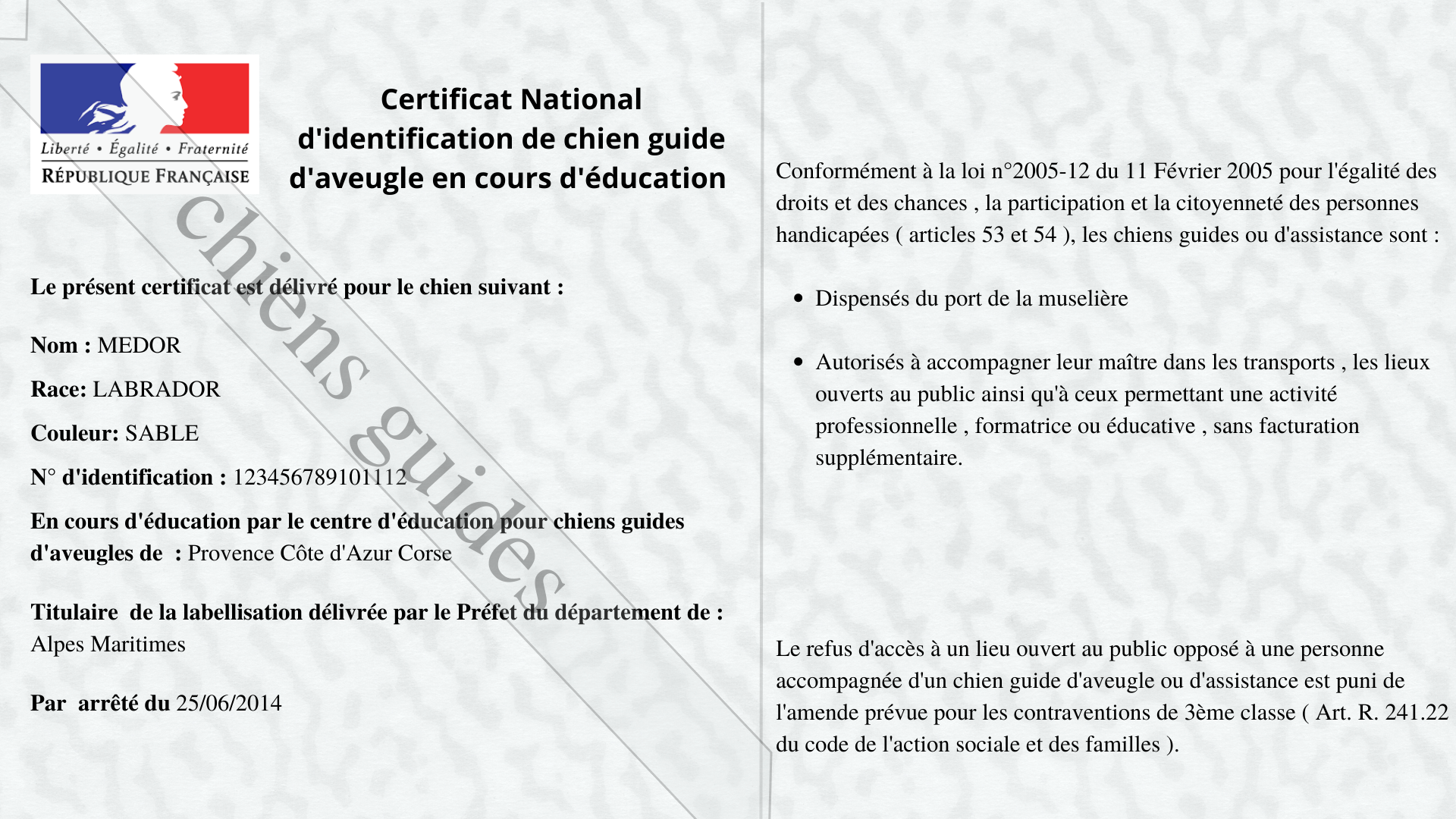 Certificat national d’identification de chien guide d’aveugle en cours d’éducation