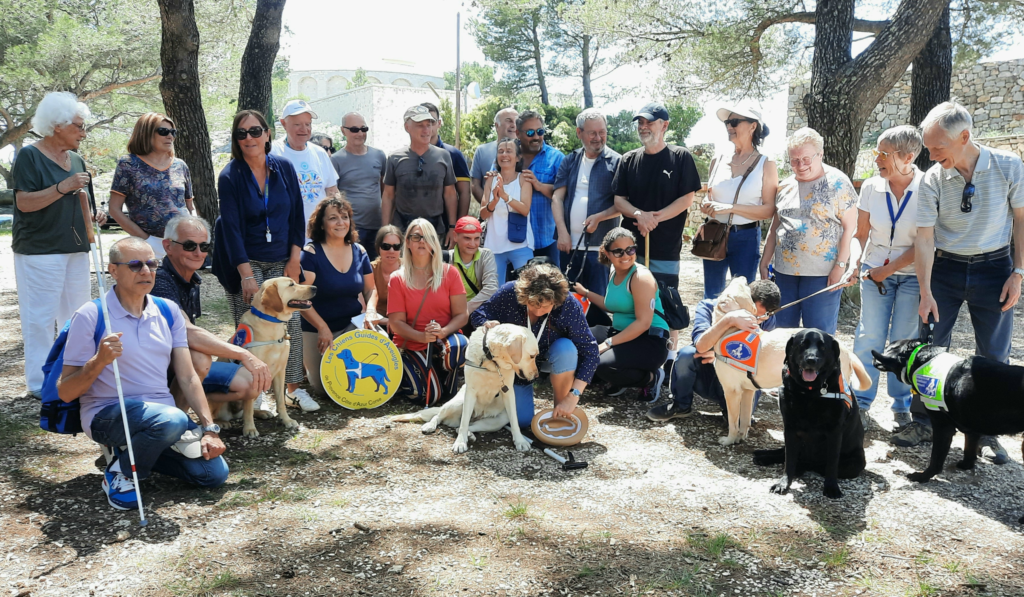 Le pique-nique au Mont Faron de l’antenne Var des Chiens Guides d’Aveugles