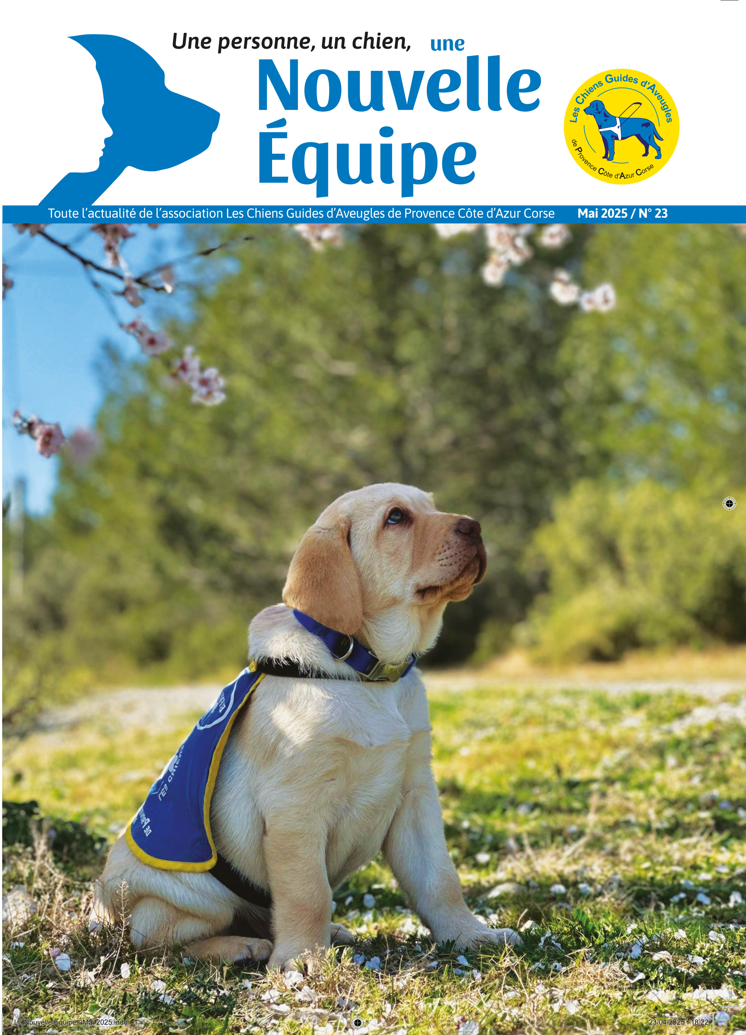 La Nouvelle Equipe - Mai 2025