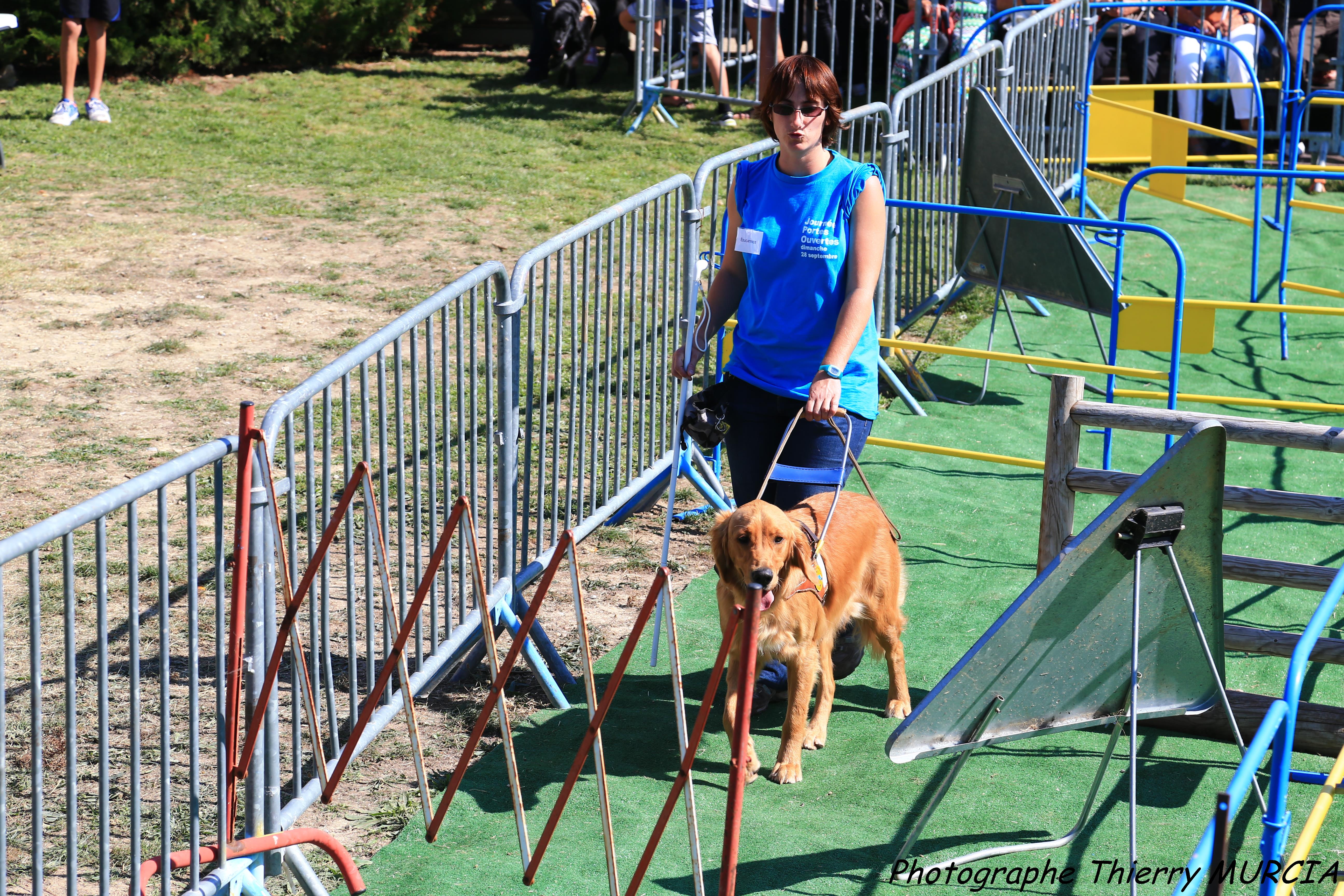 Éducateur pour chien guide d’aveugle