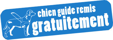 Chiens guide remis gratuitement