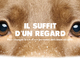 Visuel non disponible
